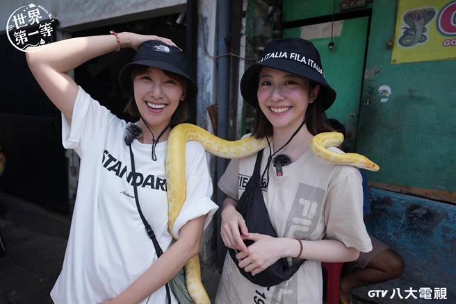 张景岚（右）、李懿与黄金蟒合照。（八大提供）