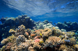 菲律賓控中國破壞南海珊瑚礁 擬向國際法庭提告