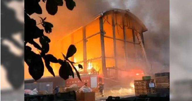 （图／翻摄画面）