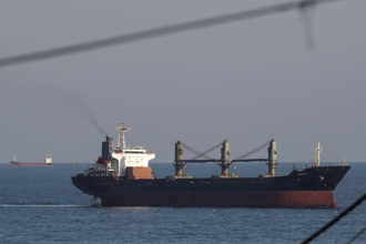 不受俄國威脅影響 第2艘烏克蘭小麥貨船抵達土耳其