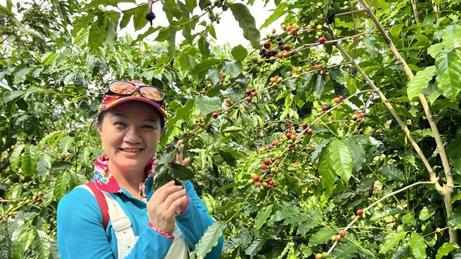 东山商圈也推荐在地出产的咖啡。（张毓翎摄）