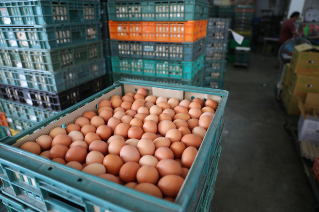 由于进口蛋爆发争议引发消费者疑虑，近期蛋价重回新高。（示意图／资料照，季志翔摄）