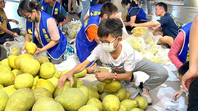 台东文旦柚滞销，富豪居企业家採购8万5000斤台东文旦柚，免费发送旅人1人1袋。（萧嘉蕙摄）