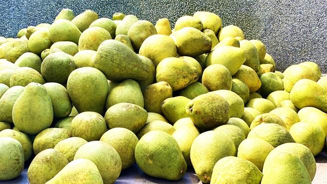 台东东河乡文旦柚种植面积约60公顷，多为40年以上老欉，皮薄肉细、汁多味甜。（萧嘉蕙摄）