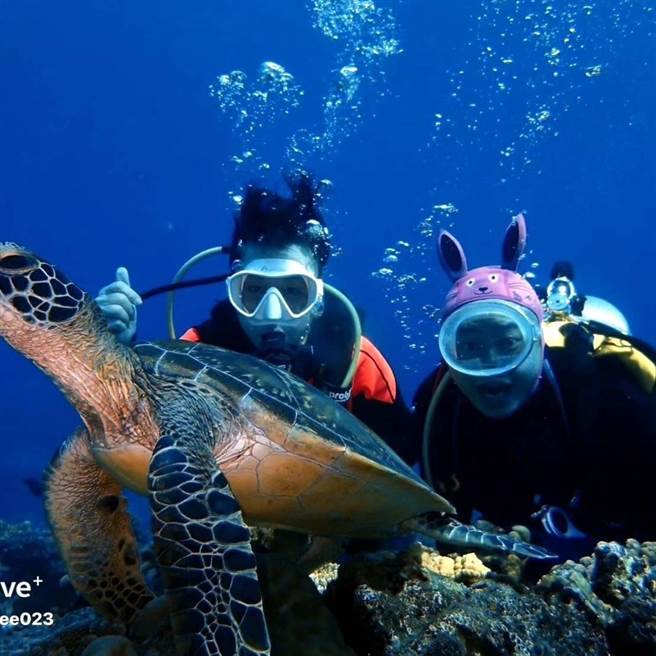 弹头带着阿姨到绿岛潜水。（欣春广告提供）