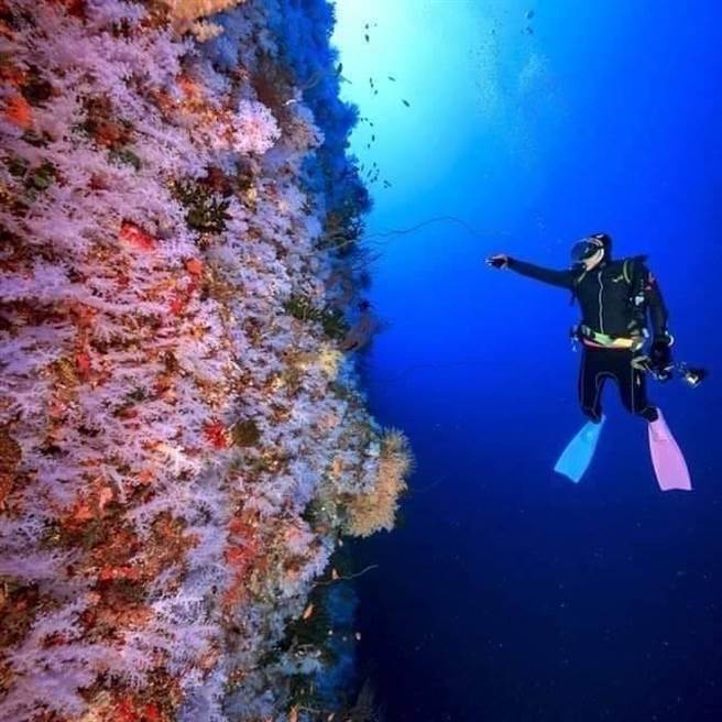 弹头拥有国际潜水组织的潜水长与教练证照。（吴永森提供）