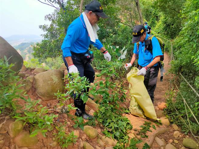 香泽兰移除情形。（新竹分署提供／李京升苗栗传真）
