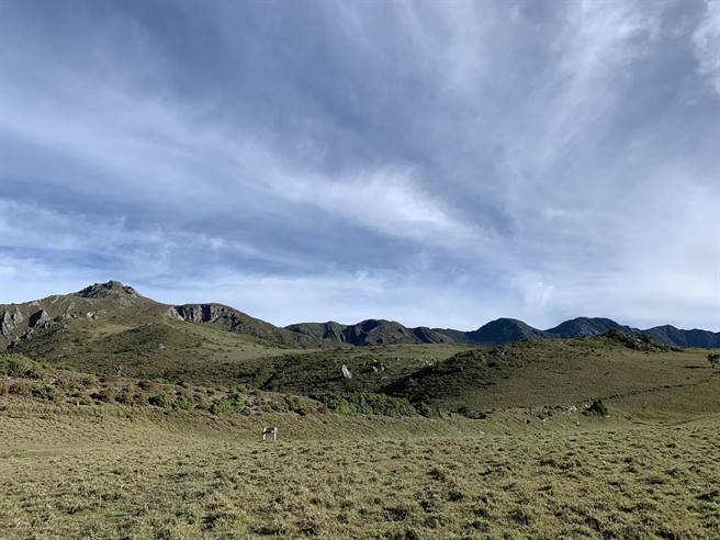 横跨中央山脉的八通关古道及八通关越道路，分别为清治与日据时代辟建，其中两条古道的交会处，就为在大水窟山的山顶。（林业及自然保育署花莲分署提供／罗亦晽花莲传真）