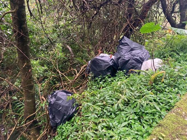 谢姓业者任意丢弃垃圾严重破坏生态环境。（翻摄画面）