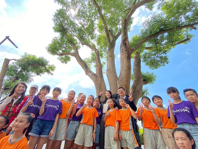 市府积极与居民沟通协调，调整施工设计及工法，除使老樟树原地保留，也让居民及用路人安心。（陈育贤摄）