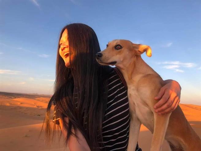 沙漠中的狗兒，靜靜地坐在她身邊一起看夕陽。（戴心易提供／吳娮翎台北傳真）