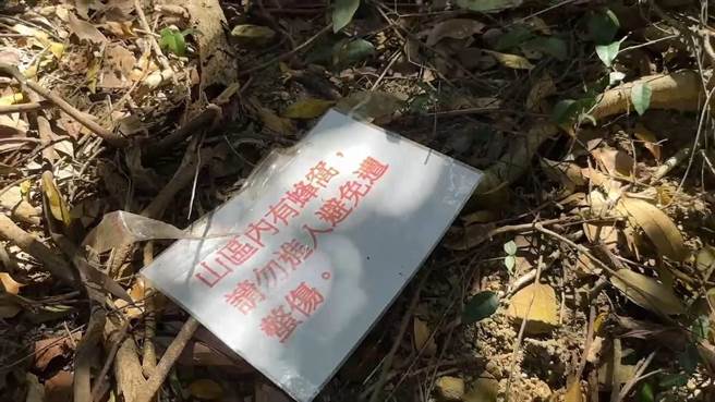 上午的蜂群攻擊事件，事發後在地上發現瑞芳區公所的警告標示，以及被拆除的封鎖線。（張志康攝）
