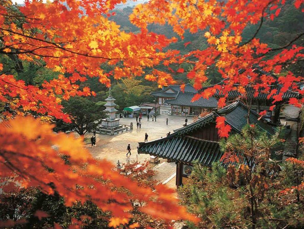 10月的首爾適合追楓，龍門山可同時觀賞到紅葉與銀杏兩種美景，還可搭乘南山纜車俯瞰城市。(可樂旅遊提供)