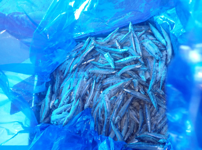 食药署今天公布边境查验不合格名单，1批从日本进口丁香鱼被检出重金属镉超标，共1万8450公斤退运或销毁。（图／食药署提供）