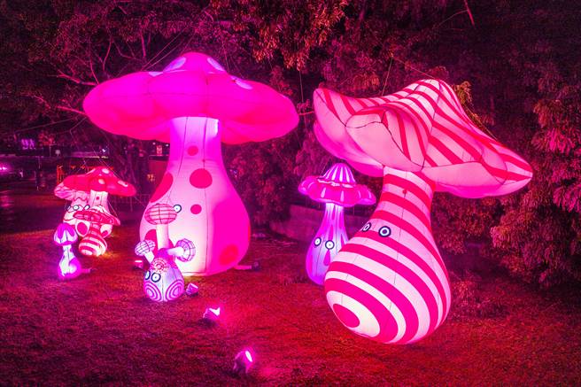 嘉义市光织影舞《镜花水月》作品。（嘉义市政府提供／廖素慧嘉市传真）