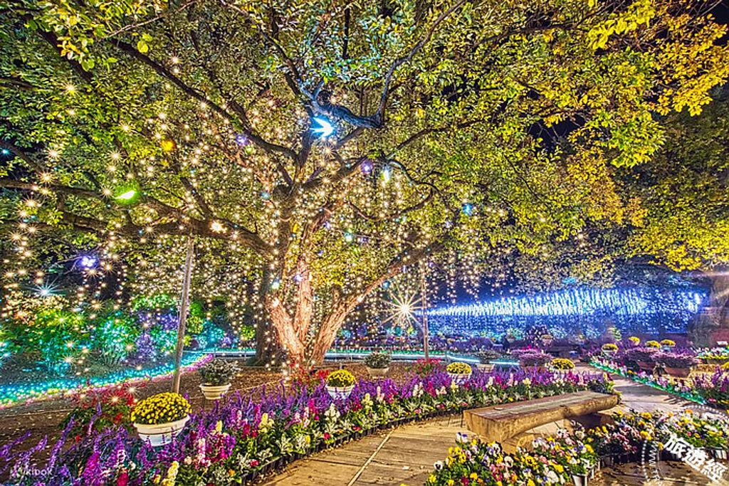 利花卉公園的光之花庭園擁有400萬盞燈的燈光秀，搭配楓紅造景，猶如置身沈浸式藝術作品當中 。 （Klook 提供）  