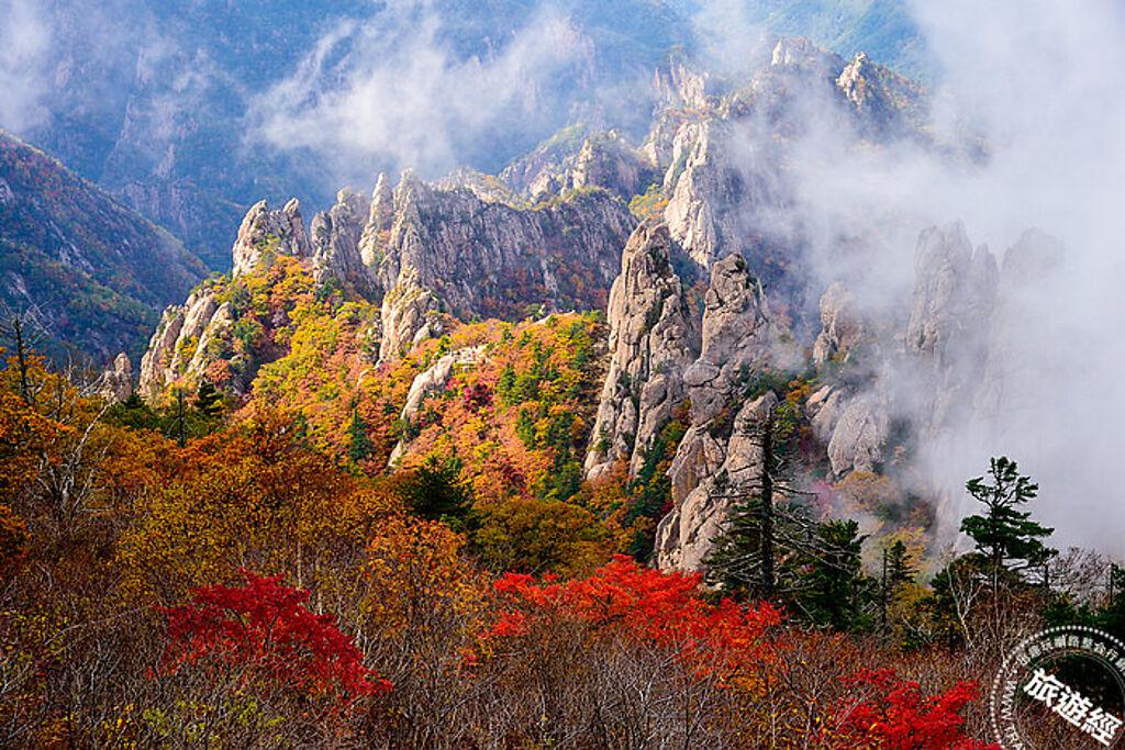 韓國楓葉第一個轉紅的地方，是位於首爾郊區江原道北部的雪嶽山，離首爾約3小時車程 。 （Klook 提供）  