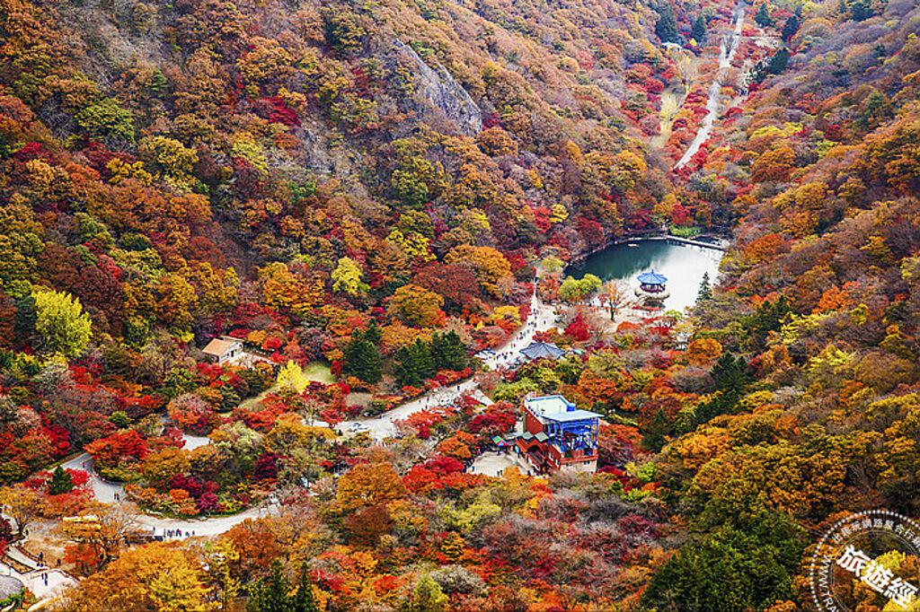 造訪有「韓國第一楓葉山」之稱的內藏山 。 （Klook 提供）  