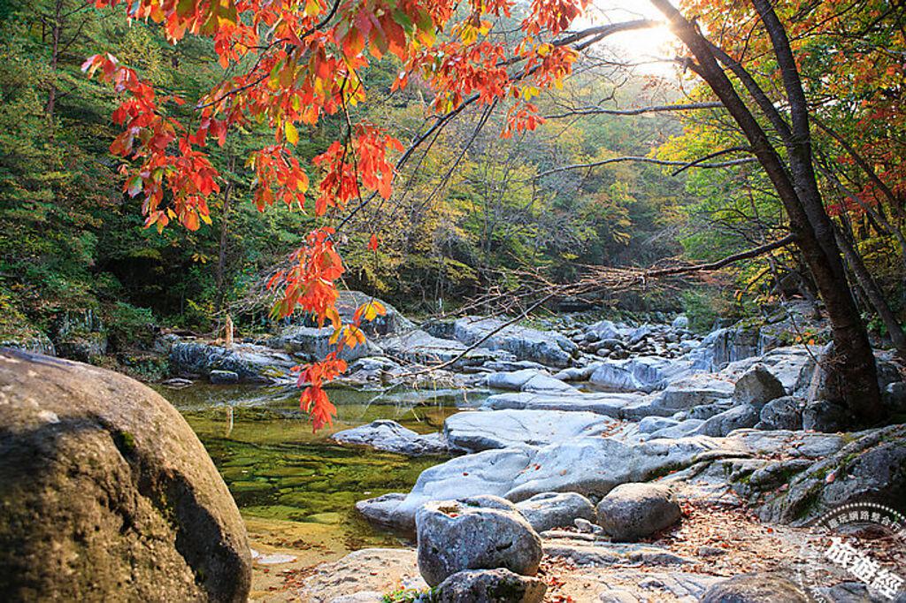 五臺山國立公園擁有韓國最大天然樹林，能欣賞群山楓葉和野生動物 。 （Klook 提供）  