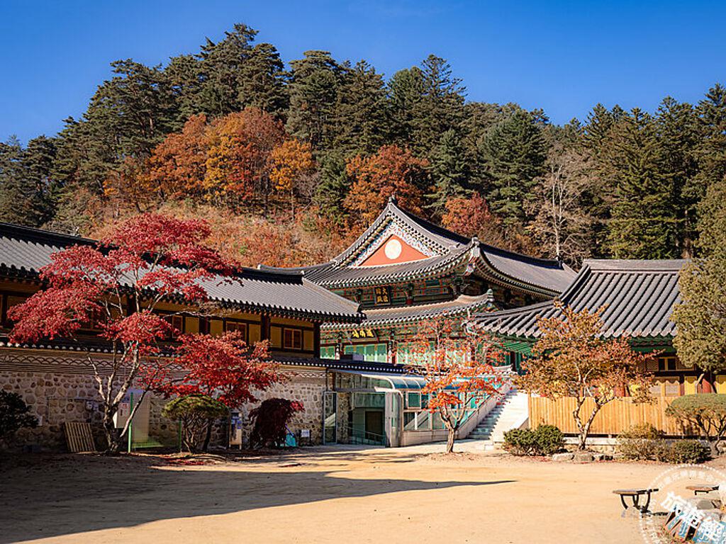 江原道近一半的歷史古寺都在五臺山國立公園內，如韓劇《鬼怪》取景地的月精寺也在此處 。 （Klook 提供）  