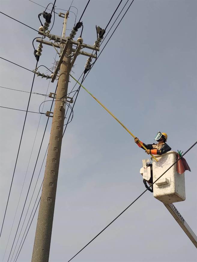 每年12月至隔年3月是属于大型都市留鸟的喜鹊繁殖期，牠们喜欢把鸟巢筑在电线杆上，台电在喜鹊繁殖时期，即持续加强巡逻次数，每日上、下午各一次，努力将电杆上尚未成形的鸟巢逐一拆除，降低停电事故发生机率。（台电提供）