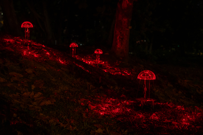 贰进《泉沓》(臺东县政府提供)