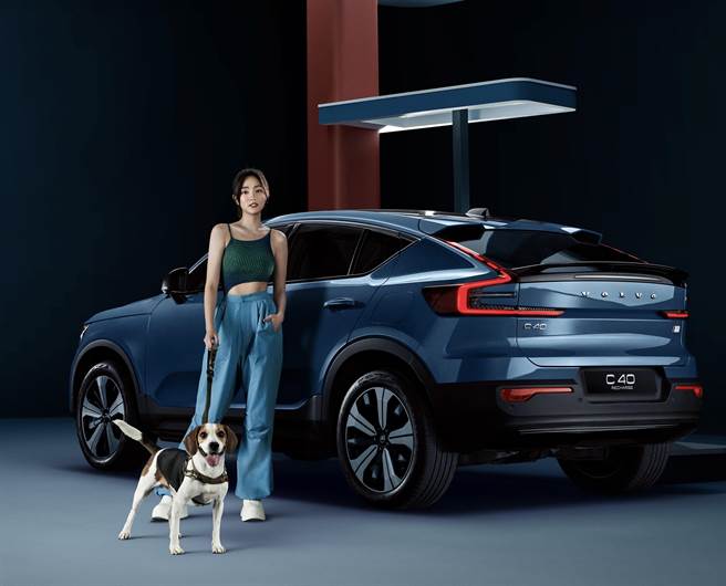 王净喜欢带着爱犬勘吉开车轻旅行。（VOLVO 国际富豪汽车提供）