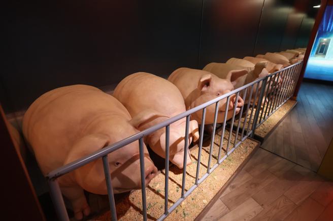 甚至连猪的场景都能在展区中看到。（甲上娱乐提供）