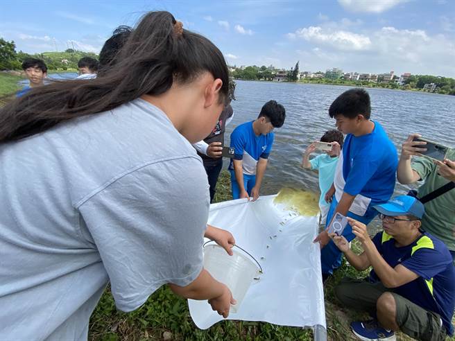 古城国小学生们将捞出的一桶桶鱼苗，顺着「鱼梯」依序放流入湖中。(于家麒摄)
