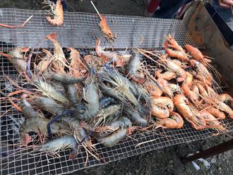 百元搭「南方小站」專列兼中秋烤肉 逾2千人在潮州鐵道園區泰國蝦吃到飽