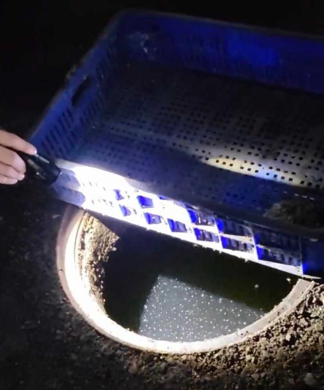 「巡倒清刷」是最有效的除蚊方式，例如一个水盆就可能藏有上万只孑孓，但需要社区基层彻底执行才能做到。（图／台南市登革热防治中心提供）