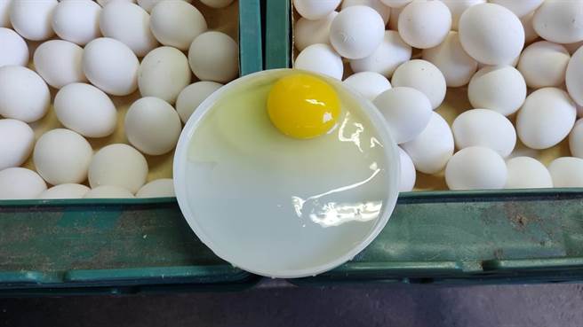 北市衛生局29日查核上游蛋品販賣行，業者說明提供該雜糧行蛋品源自3家畜牧場，現場針對3家畜牧場各抽驗2顆蛋品破殼檢視未有變質。（北市衛生局提供）