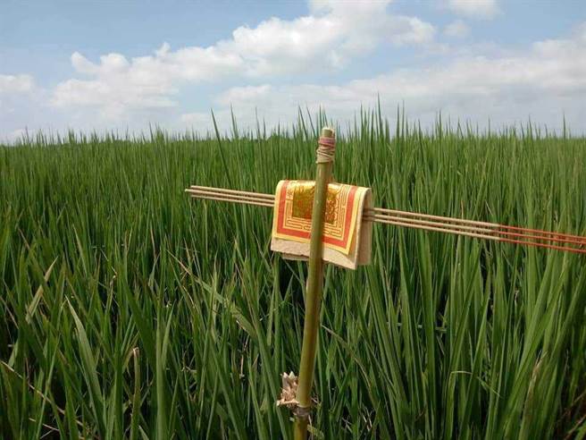 林家良从二崙乡农人听到土地公杖的作法与用途，凭想像做了一支。（林家良提供）＿