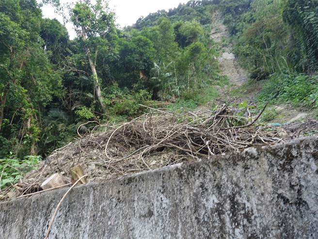 坍崩后土石积堆在挡土墙后，陈老先生说看了胆战心惊，盼有关单位能协助处理。（柯毓庭摄）