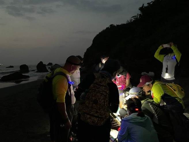 寿山陆蟹释幼奇观吸引大批生态爱好者聚集夜观。（自管处提供／袁庭尧高雄传真）