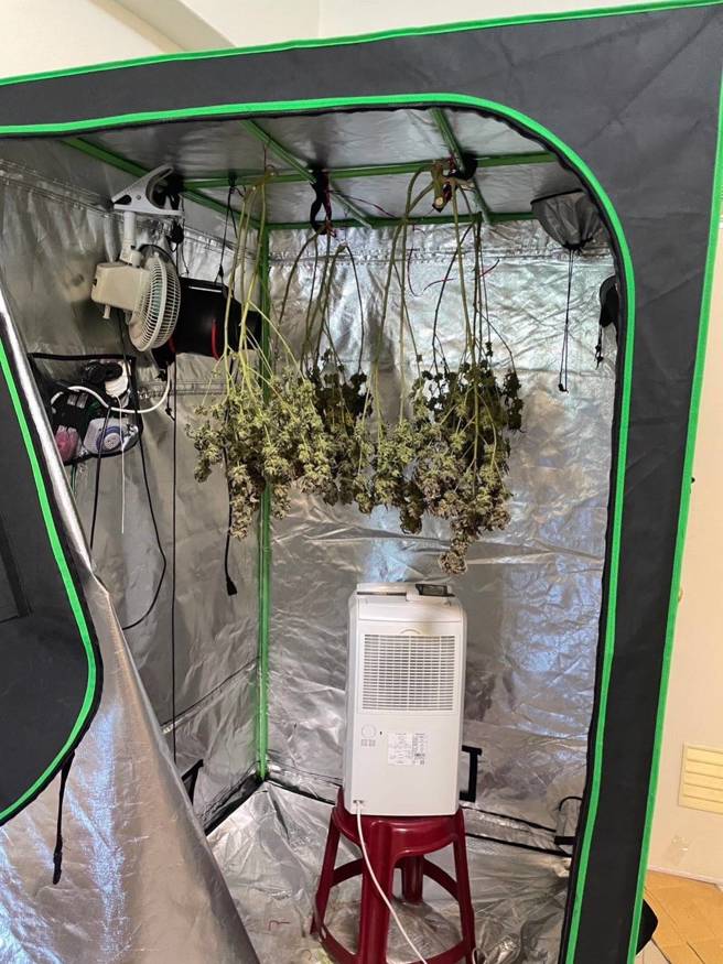 男子在衣橱里烘乾「大麻」。（警方提供）