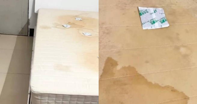 大陆广东省佛山市一名女子租房1年反覆过敏，近日发现床垫大面积发霉。（图／翻摄自白鹿视频）