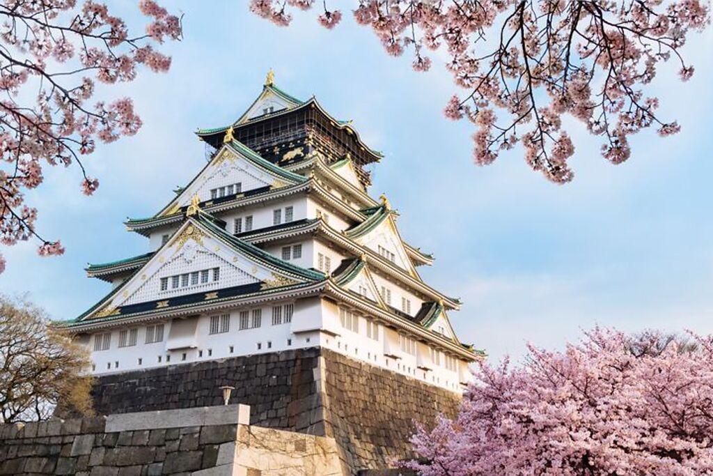 ▲海上旅程結束後，剛好可以銜接日本櫻花祭。圖為大阪城櫻花盛開。　圖：shutterstock／來源