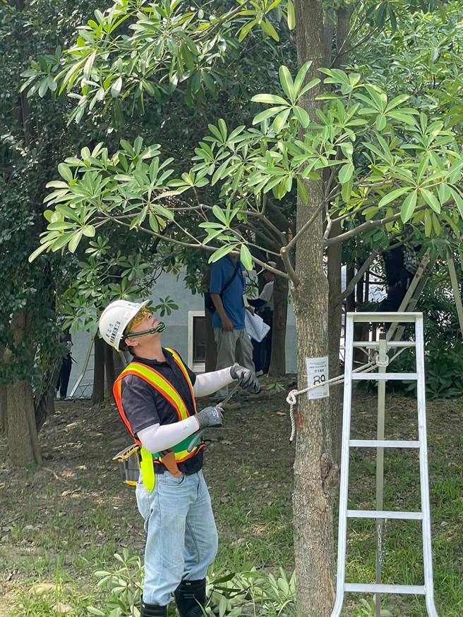 参与学员们正在进行实作测验。（新北市景观处提供／蔡亚桦新北传真）
