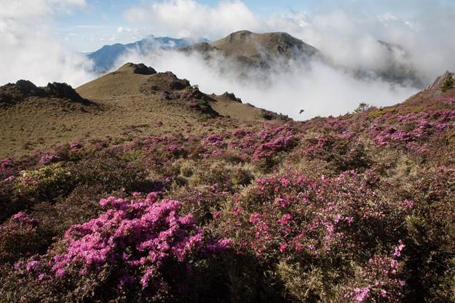 玉山主峰是国内外知名登山路线，途中「排云山庄」床位中籤率，山友认为比登顶、抢热门演唱会还难。（玉山国家公园提供／杨静茹南投传真）