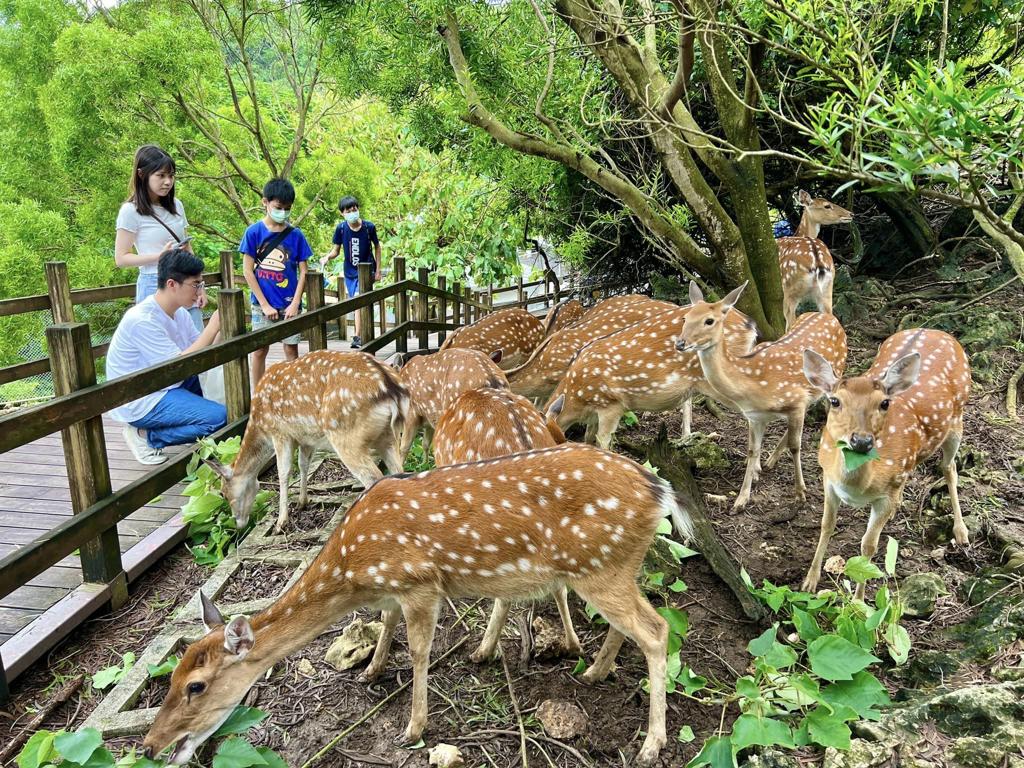 適合親子同遊的壽山動物園（圖片來源：高雄市觀光局提供）
