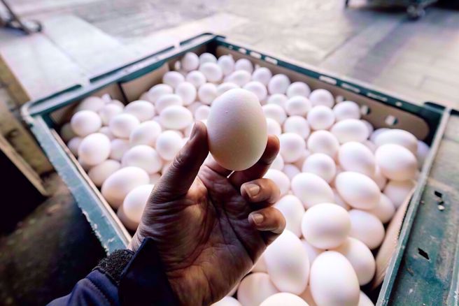 林裕纮的友人为何从愿意帮他忙到决定搜证自保，关键原因在检警追查下随之曝光。（示意图／中时资料照）