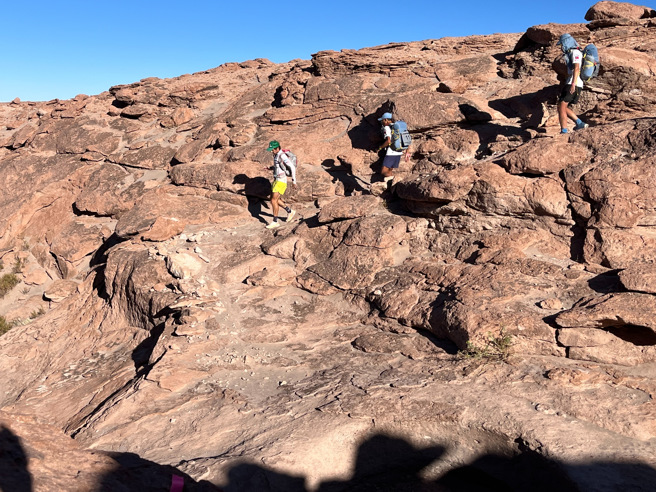 阿他加马砾漠沙漠地形变换考验跑者适应能力，唯一不变的是头顶炙热的艳阳。（台湾体育运动竞技协会）