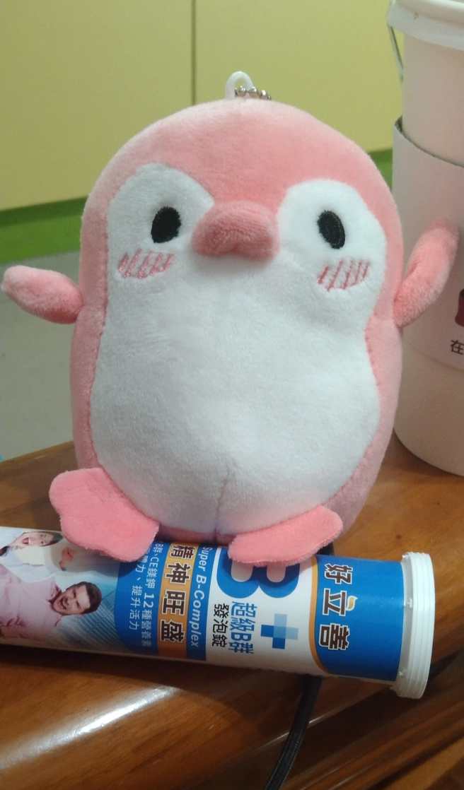 一位妈妈在儿子生日时收到企鹅娃娃的礼物。（翻摄自爆怨2公社脸书）