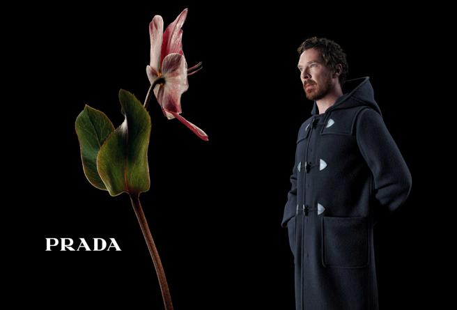 奇異博士為宣傳2023秋冬系列與巨型花卉合影為Prada拍攝宣傳視覺，聚焦花卉之美。（Prada 提供/林欣儀台北傳真）