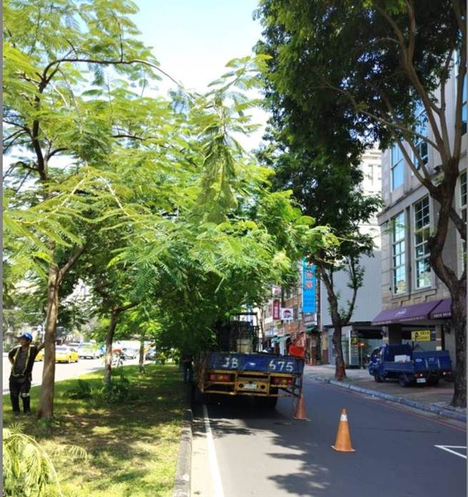 工务局加强派员修剪树枝，并加强支架固定，避免因颱风造成路树倒塌。（公园处提供／任义宇高雄传真）