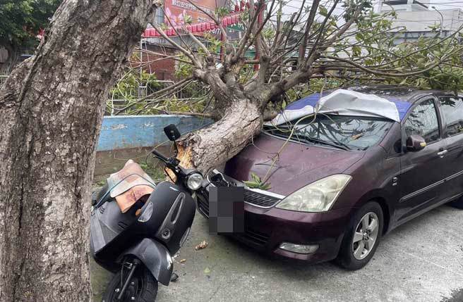 大雅區民生路巷弄內，近午一棵路樹不敵強方攔腰斷裂，壓毀一輛休旅車及機車。（里長陳映辰提供）