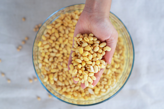 豆類含有豐富蛋白質、維生素等營養素，但豆類發芽後的芽菜有更高的營養密度。(示意圖/ Shutterstock )