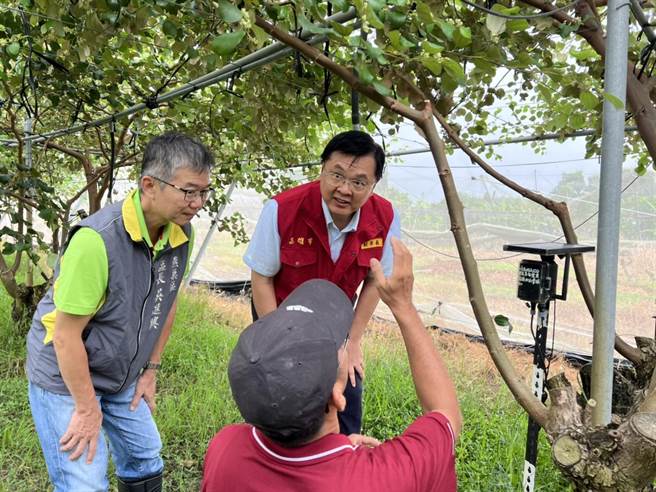 高雄市副市長羅達生（右一）前往燕巢蜜棗產區關心棗農整備情形，並提醒農友，隨時留意最新天氣資訊，加強田區整備、疏通排水，以減輕損失。（高雄市政府農業局提供／林雅惠高雄傳真）