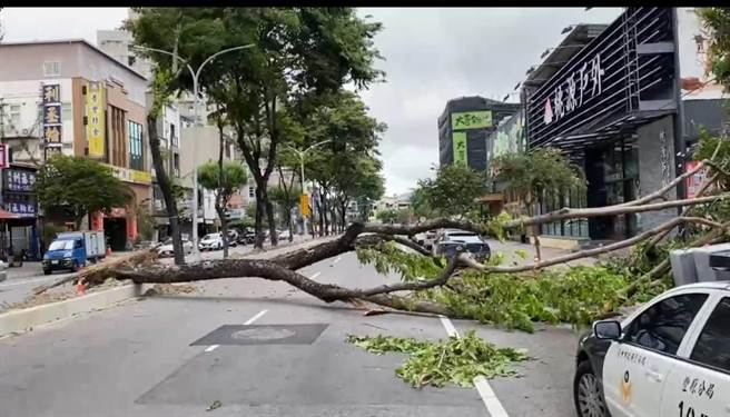 丰原区圆环东路与向阳路路树倒塌阻挡车道。（警方提供）